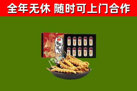 芗城烟酒回收冬虫夏草礼盒.jpg