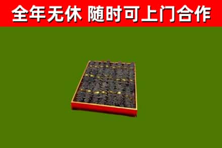 芗城回收海参